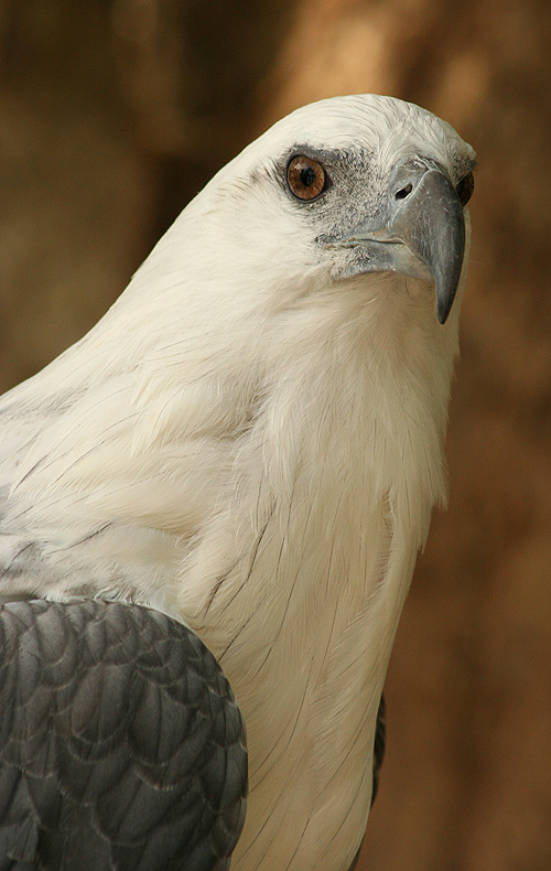 Photographie par mated1976 pour DesignCrowd (Community Contests) | Design #9060293