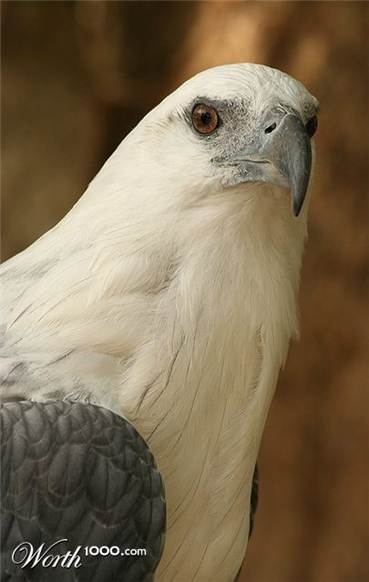 Photography by mated1976