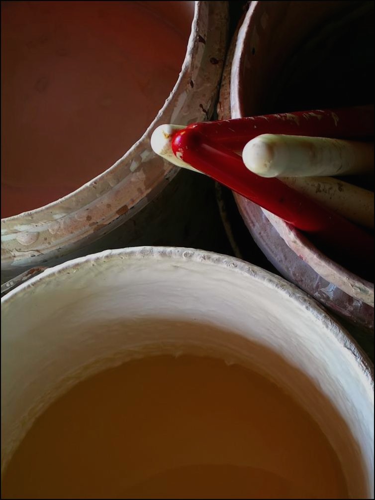 Photography by Isabella2006 for DesignCrowd (Community Contests) | Design #9060499