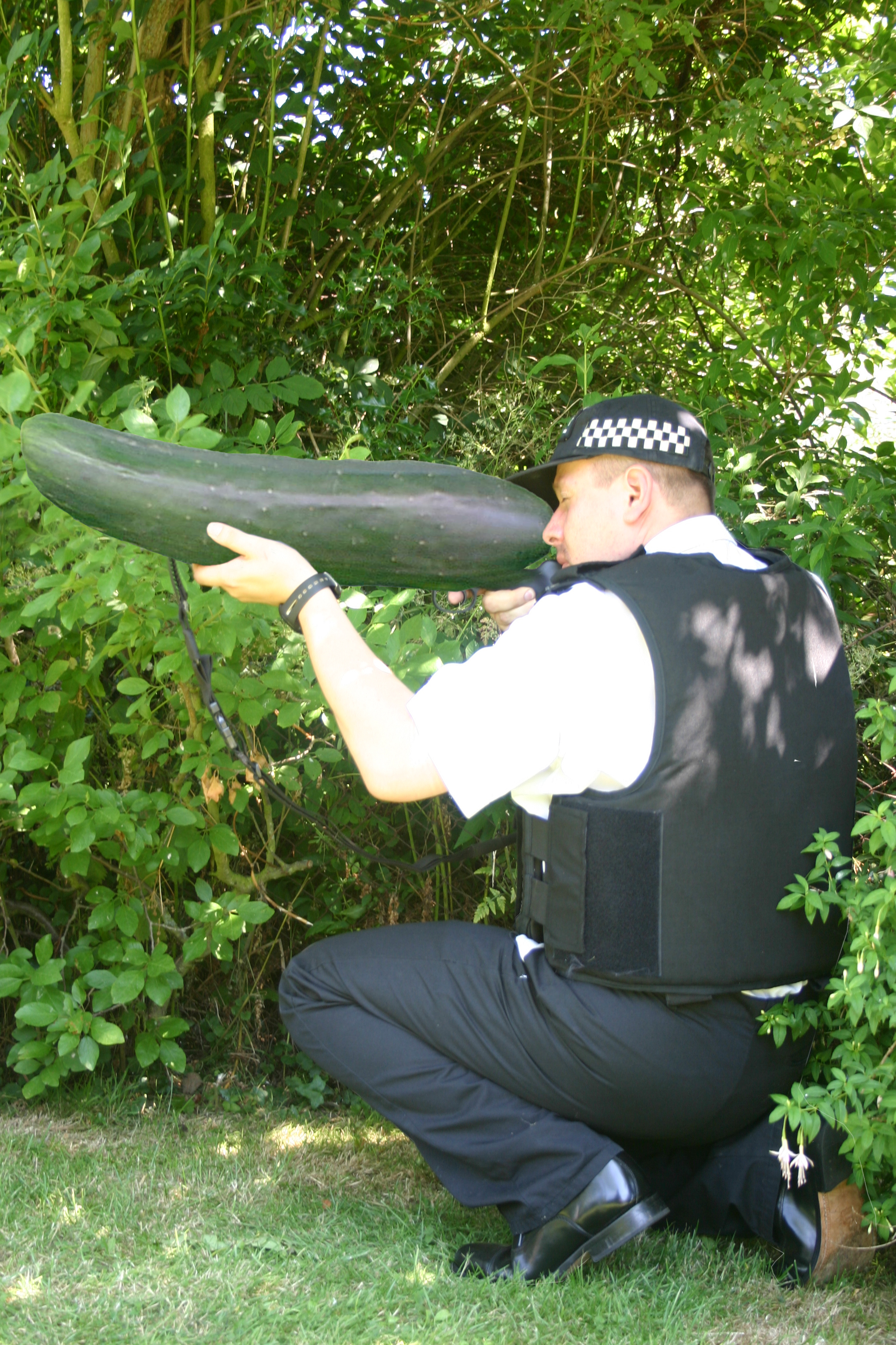 Photoshop Design by cath2k000 for DesignCrowd (Community Contests) | Design #9056003