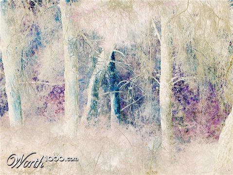 Photography by GreyElf