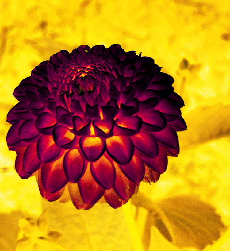 Fotografie von Norrit für DesignCrowd (Community Contests) | Design #9064165