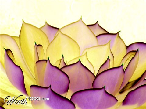 Photography by Kajelund