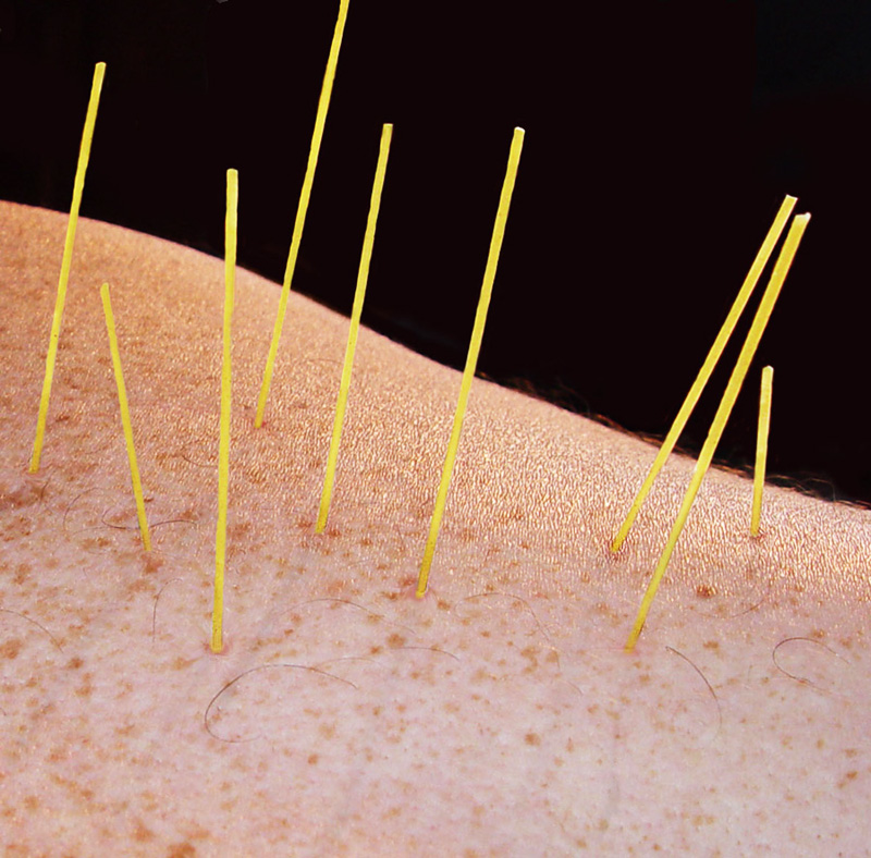 Photoshop Design by hypnotode for DesignCrowd (Community Contests) | Design #9056033