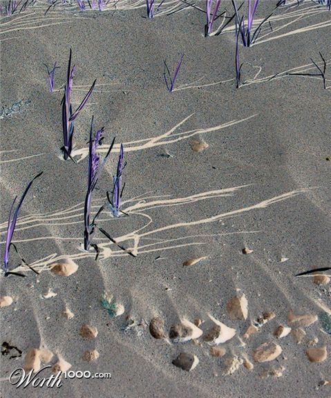 Photography by Nicky666