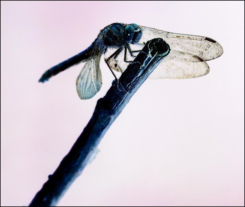 Photography by TyChO for DesignCrowd (Community Contests) | Design #9064181