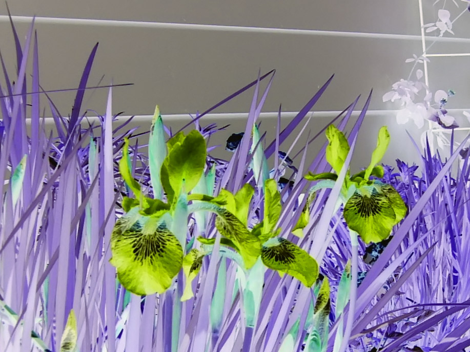 Photography by revdave33 for DesignCrowd (Community Contests) | Design #9064228