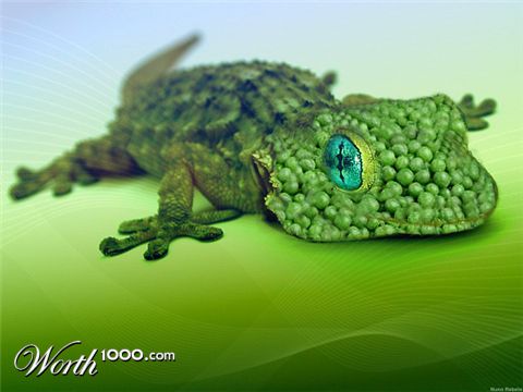 Photoshop Design by jessicagurl