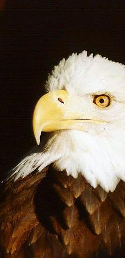 Photography by Larah McElroy for DesignCrowd (Community Contests) | Design #9060388