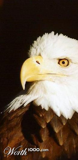 Photography by Larah McElroy