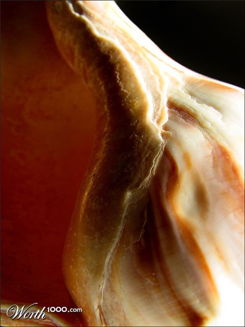 Photography by nowheregirl