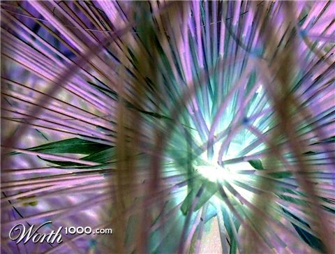 Photography by PatrickRyan