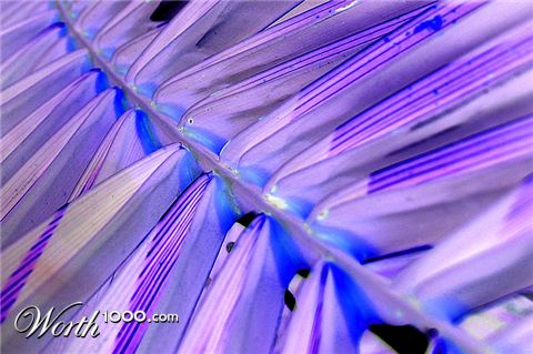 Photography by Marthese