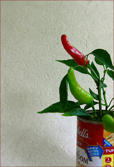 Photography by droomluiperd for DesignCrowd (Community Contests) | Design #9057612