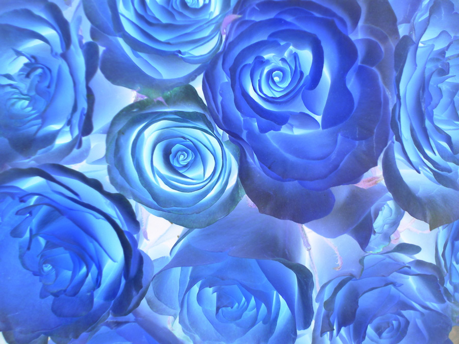 Fotografie von Spacejunk für DesignCrowd (Community Contests) | Design #9064216