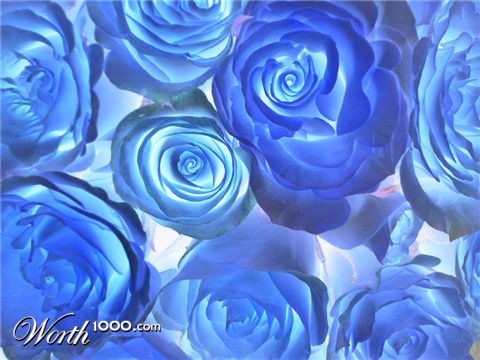 Photography by Spacejunk