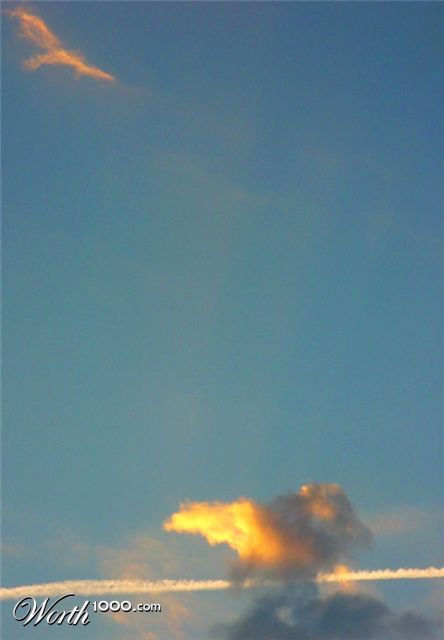 Photography by AsierReisa