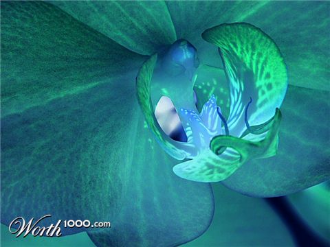 Photography by wiggster