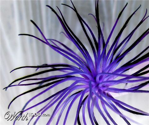 Photography by Killian