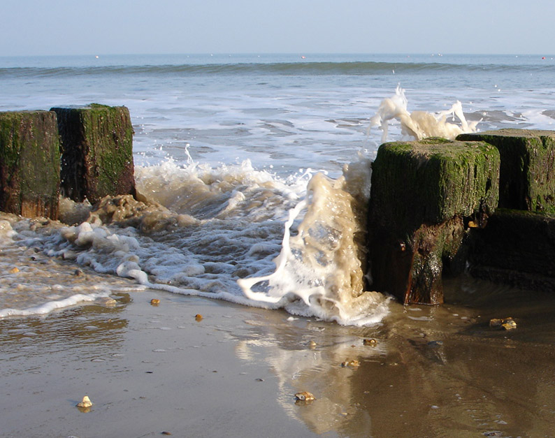 Photography by KGrobler for DesignCrowd (Community Contests) | Design #9060386