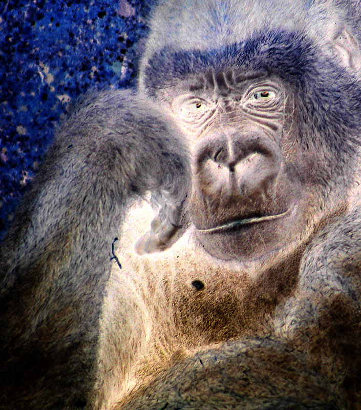 Fotografie von SigloV für DesignCrowd (Community Contests) | Design #9064248