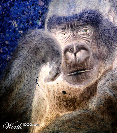 Photography by SigloV