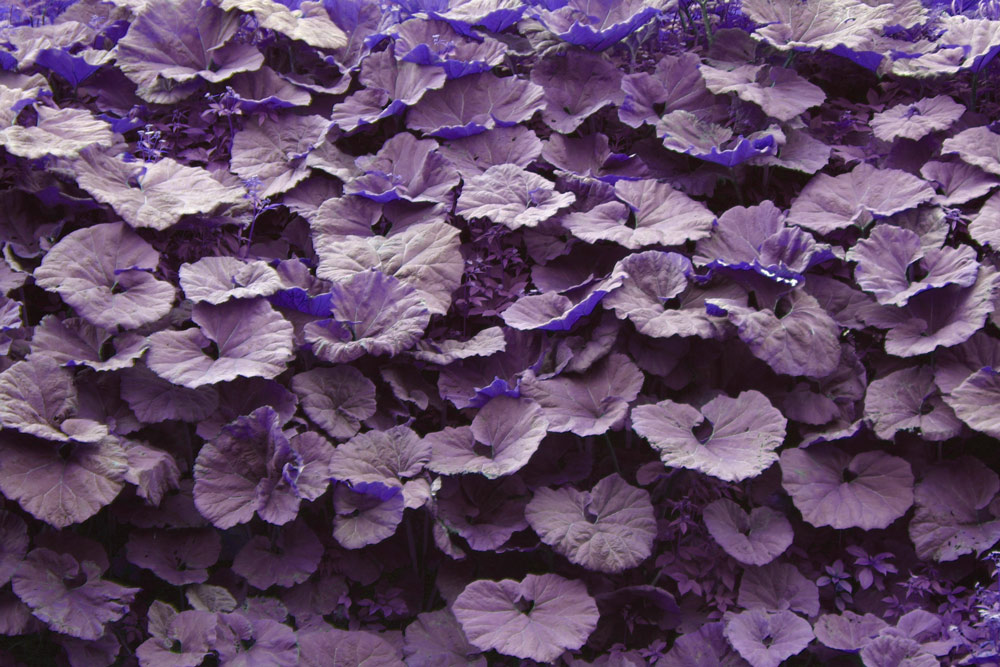 Photography by DurhamTyke for DesignCrowd (Community Contests) | Design #9064312