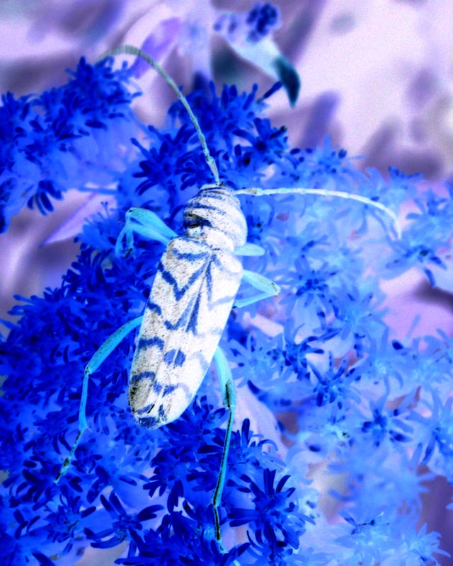 Photography by rdchdwck for DesignCrowd (Community Contests) | Design #9064258