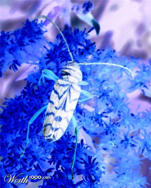 Photography by rdchdwck