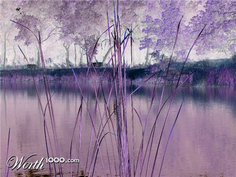 Photography by Suziecuchon
