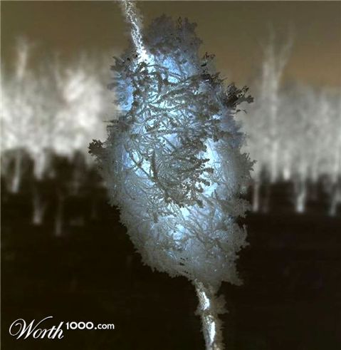 Photography by jadeangel99