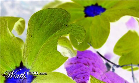 Photography by photoenthusa