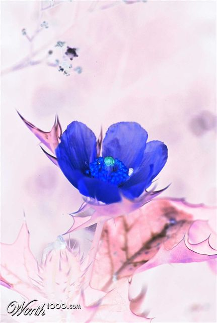 Photography by kalyangantait