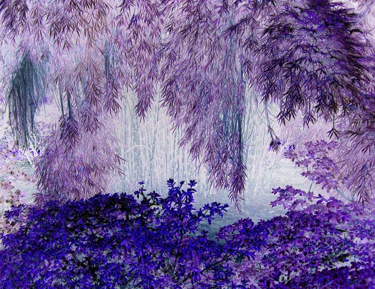 Fotografie von madmaxoft für DesignCrowd (Community Contests) | Design #9064374