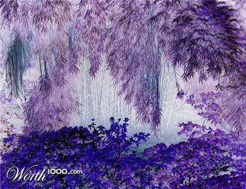 Photography by madmaxoft