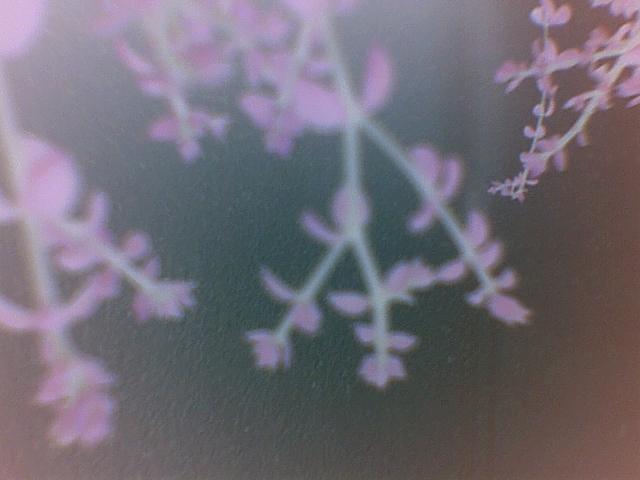 Photography by zuhalaksulu for DesignCrowd (Community Contests) | Design #9064580