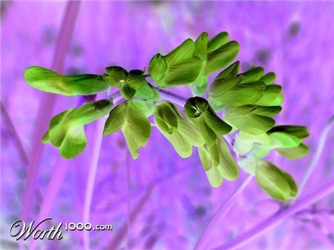 Photography by bcharbon
