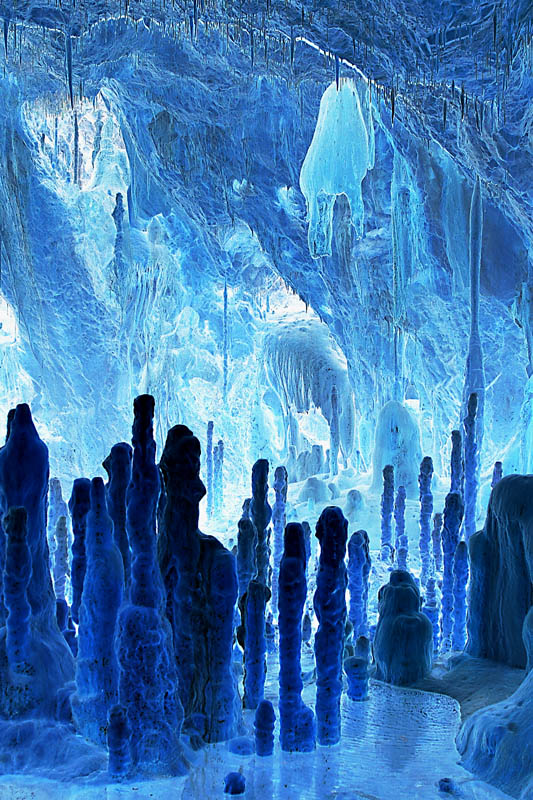 Photography by attacker for DesignCrowd (Community Contests) | Design #9064466