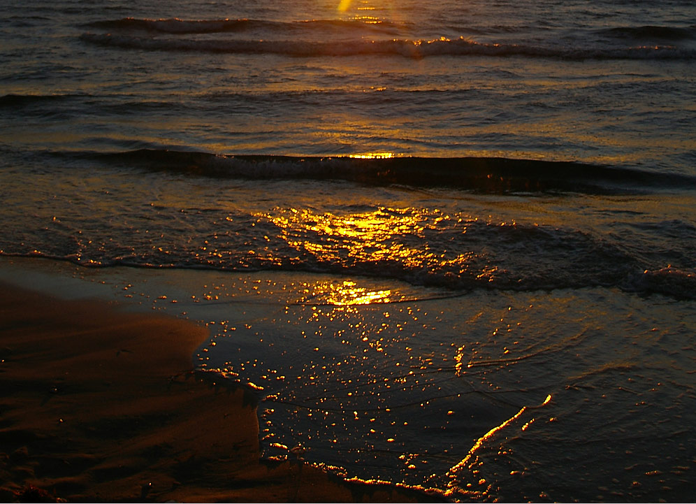 Photography by AussieBluey for DesignCrowd (Community Contests) | Design #9062024