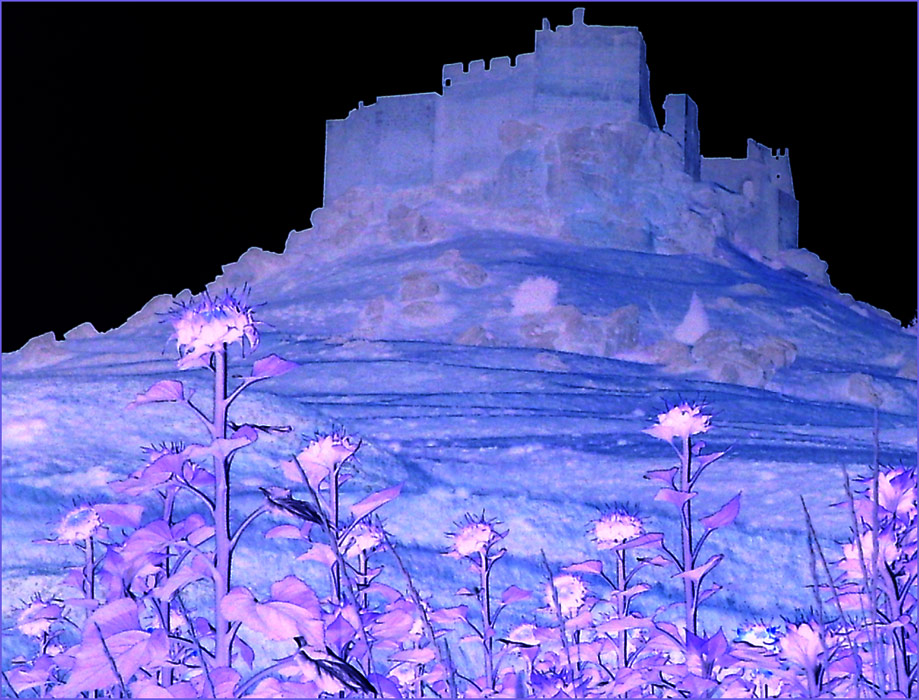 Photography by AsierReisa for DesignCrowd (Community Contests) | Design #9064412