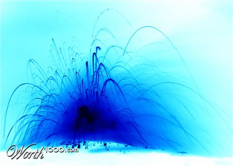 Photography by Cygnus