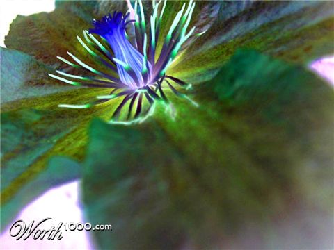 Photography by gggirl33