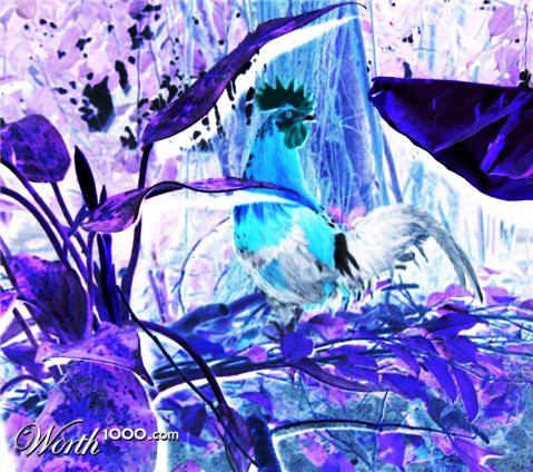 Photography by Maddyy