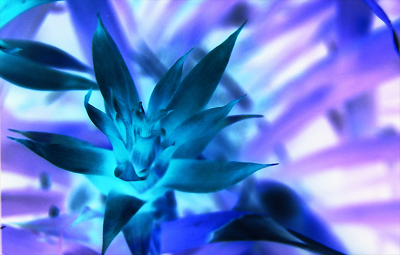 Photography by jcrunk for DesignCrowd (Community Contests) | Design #9064499