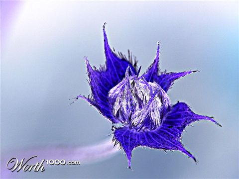 Photography by Mohave