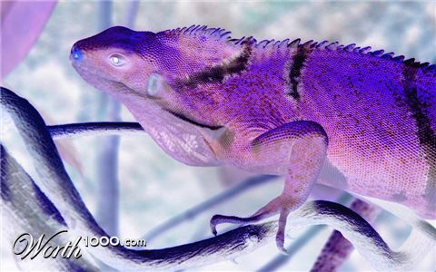 Photography by kimbomac