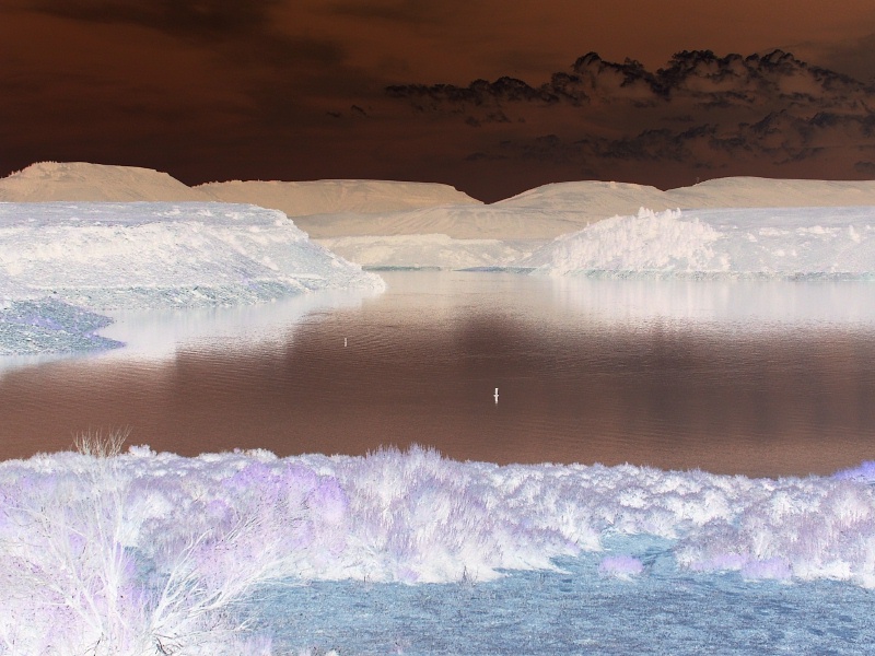 Photography by mmc9496 for DesignCrowd (Community Contests) | Design #9064588