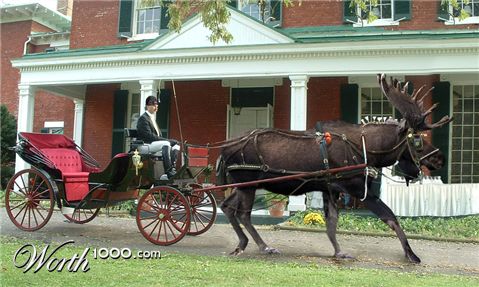 Photoshop Design by gerace