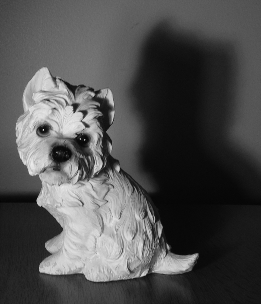 Photographie par photoenthusa pour DesignCrowd (Community Contests) | Design #9048338