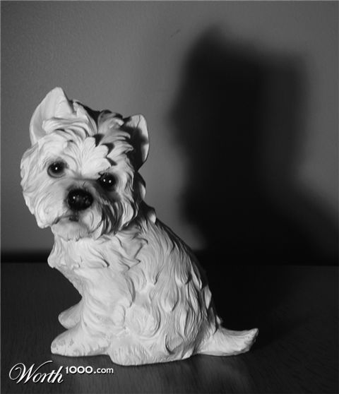 Photography by photoenthusa